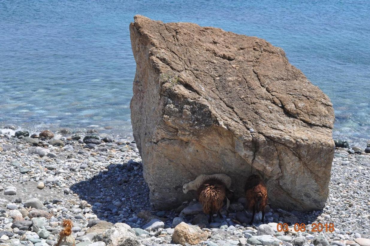 Island Villa Agia Galini  Luaran gambar