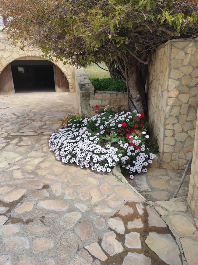Island Villa Agia Galini  Luaran gambar